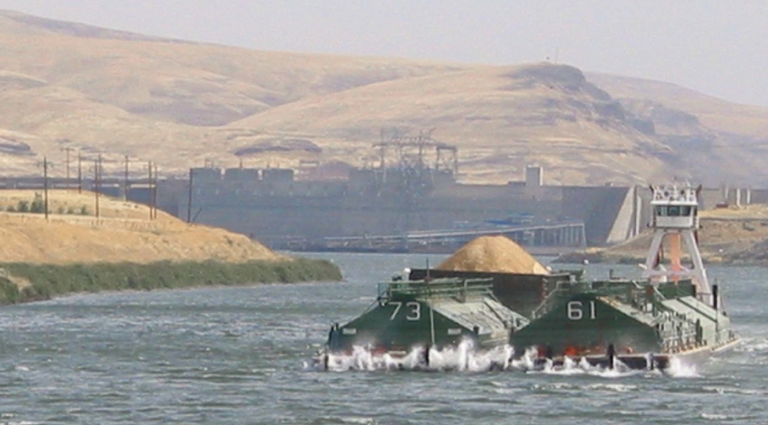 Capture little Goose Dam.png